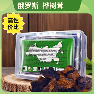 三十年生长周期俄罗斯桦树茸黑金切块天然野生白桦茸高密度品质