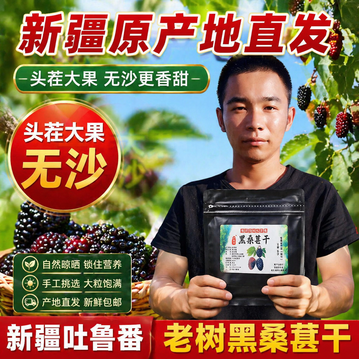 新疆吐鲁番头茬大果黑桑葚干