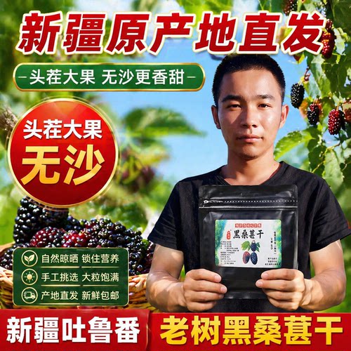新疆吐鲁番头茬大果黑桑葚干