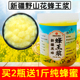 新疆黑蜂野山花蜂王浆纯正农家自产新鲜蜂皇浆不加工纯网红原浆