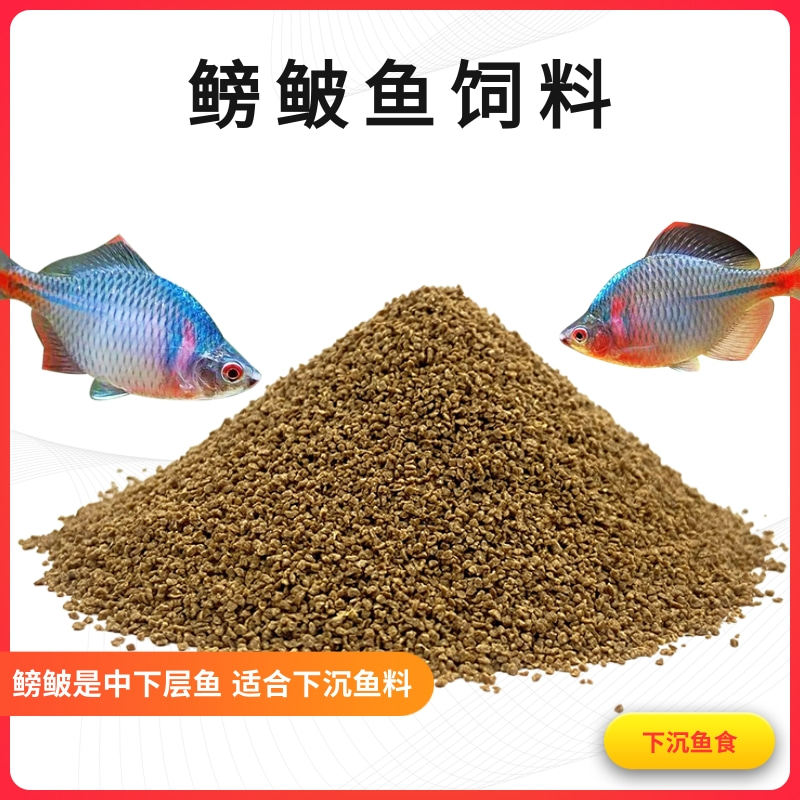 鳑鲏鱼食麦穗鱼旁皮中国彩虹鱼粮小型原生鱼下沉小颗粒饲料高蛋白