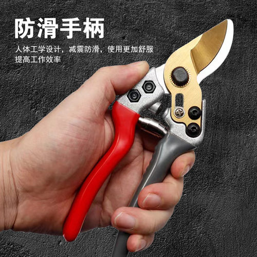 修枝剪加厚优质树枝剪园艺花枝剪果树剪枝果枝花艺剪刀