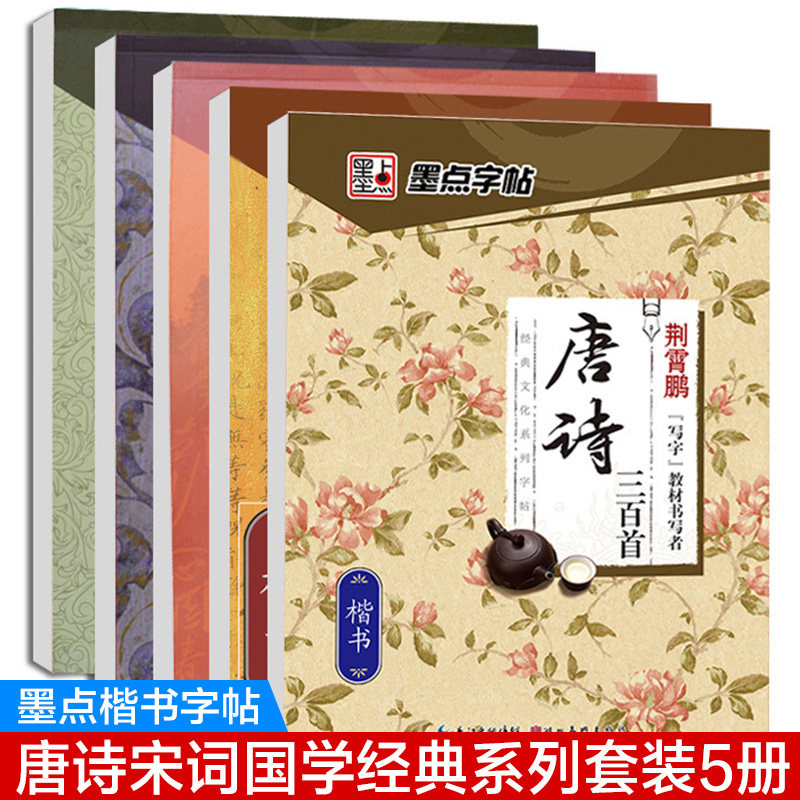字帖练字成年大学生楷书女入门基础训练正楷墨点高中生荆霄鹏钢笔古诗