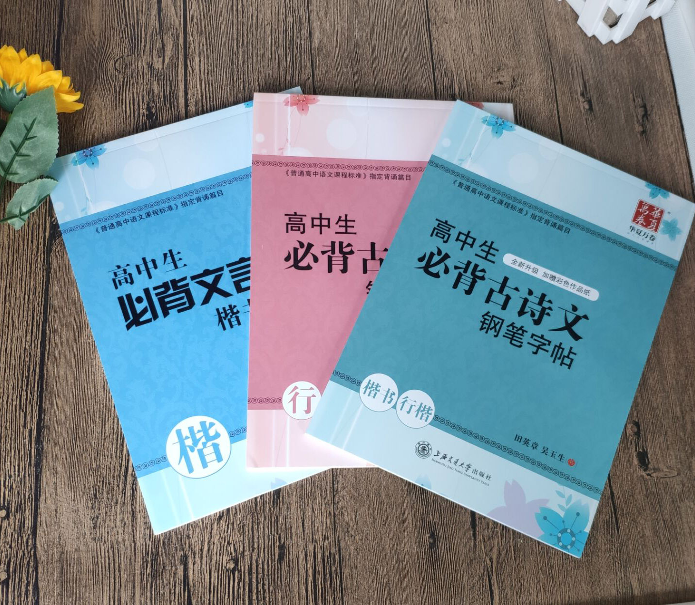 吴玉生行楷硬笔字帖钢笔 高中文言文临摹字帖初高中