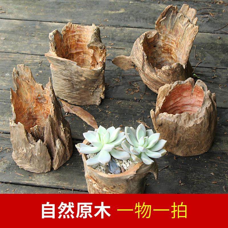 创意多肉枯木造景花盆 老桩实木天然树根防腐小花盆 空气凤梨花盆
