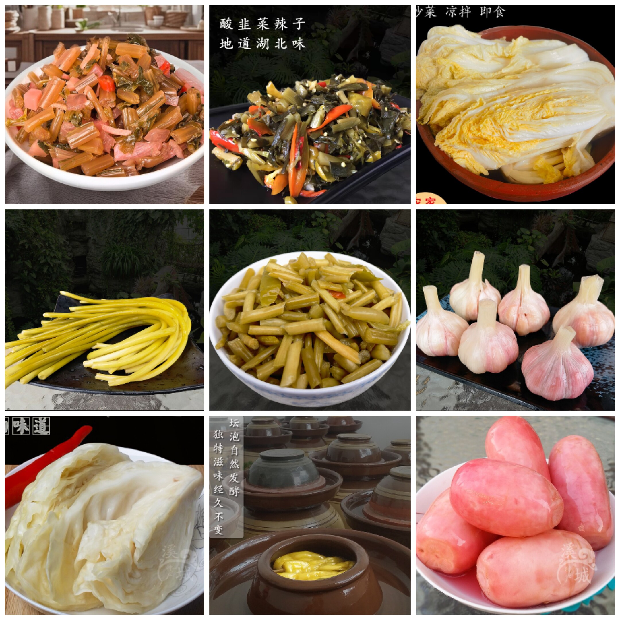 酸白菜包菜红薯杆韭菜辣子大蒜苔