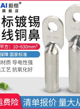 铜鼻子镀锡国标A级非镀锌DT35/50/70/95/150/185/240平方接线端子