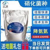 污水处理菌种 微生物污水处理菌剂 硝化细菌好氧池专用菌剂去氨氮