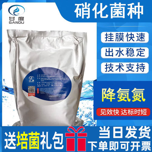 污水处理菌种 硝化细菌好氧池专用菌剂去氨氮 微生物污水处理菌剂