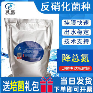 甘度反硝化菌种污水菌GANDEW DEN降解总氮厌氧菌专业脱氮缺氧菌剂
