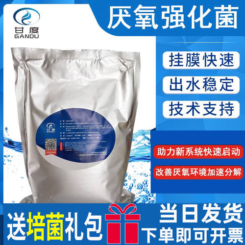 甘度污水处理菌加快改善厌氧环境