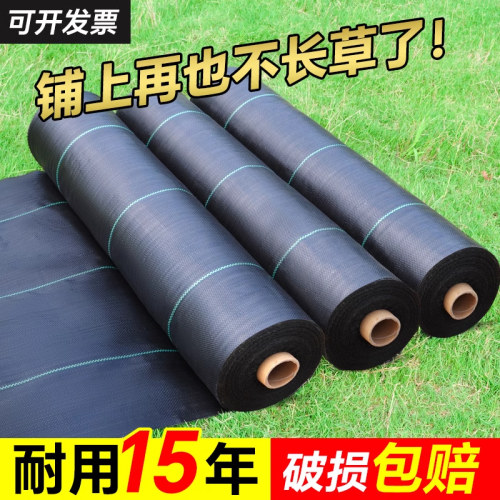 防草布除草布耐用遮草布果园果树专用防草布地膜地布批发厂家直销