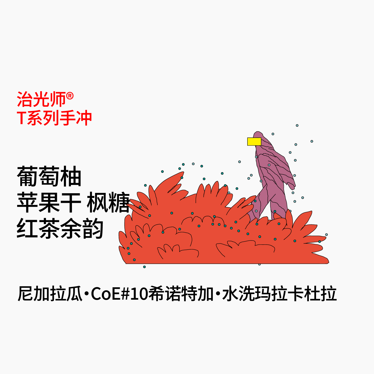 治光师尼加拉瓜CoE#10手冲咖啡豆