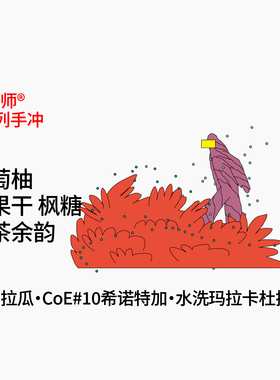 T系列尼加拉瓜EI Povenir CoE #10 水洗玛拉卡杜拉手冲咖啡豆100g