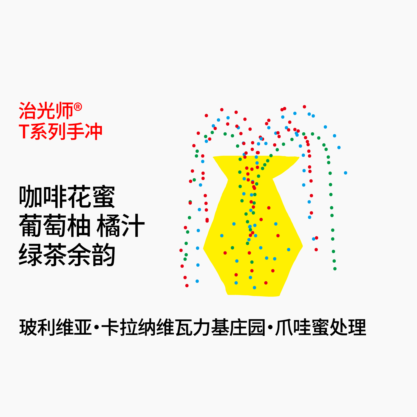 治光师爪哇蜜处理手冲咖啡豆