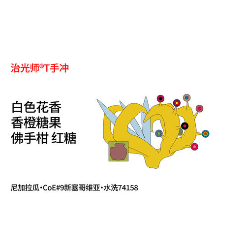 治光师尼加拉瓜CoE#9手冲咖啡豆