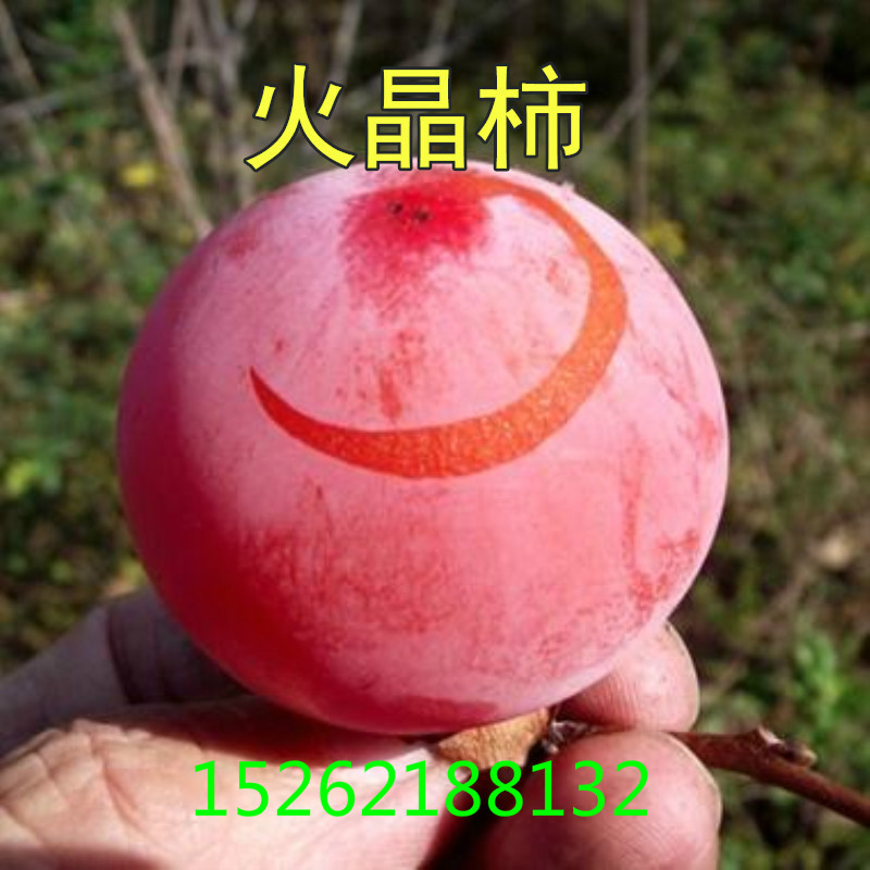 网友分享在meiguo.com的图片