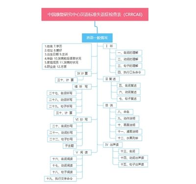 中国康复研究中心CRRCAE汉语标准失语症检查评估量表工具箱套装