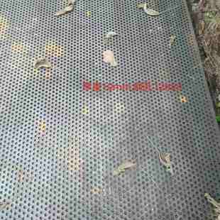 供应不锈钢多孔板冲孔板圆孔穿孔镀锌装饰过滤网头板门冲孔