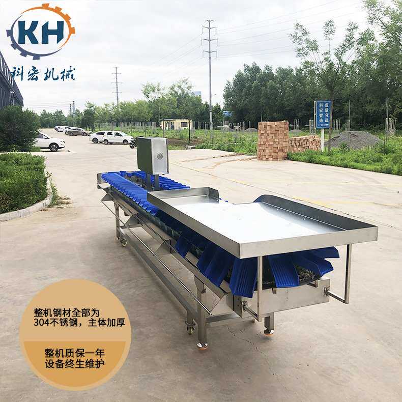 牡蛎自动自动重量分选机 海参牡蛎分拣设备 北极贝鱿鱼称重分级机,清洗/食品/商业设备,选果机/分选机,淘宝优惠券,粉丝福利购,淘宝优惠卷