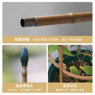 铁艺花支架子攀爬杆花柱架花架月季藤架花盆植物藤爬爬批发园艺