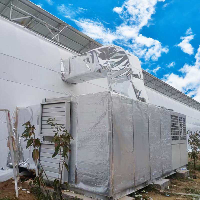 樱桃大棚降温空调温湿度控制樱桃休眠一体机温室反季节种植设备