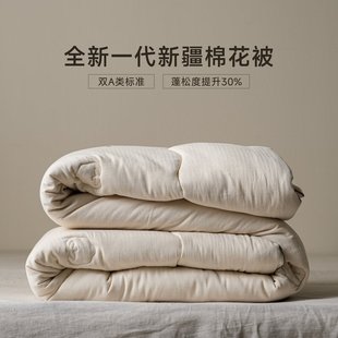 巷子戏法 通用 A类棉麻棉花被亚麻春秋被冬被加厚被芯被子夏被四季