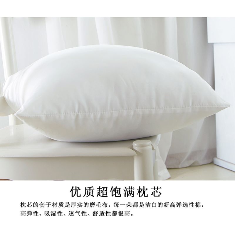 沙发抱枕芯子靠垫芯子腰枕头芯大靠枕芯4545/5555/6060/6565/4055