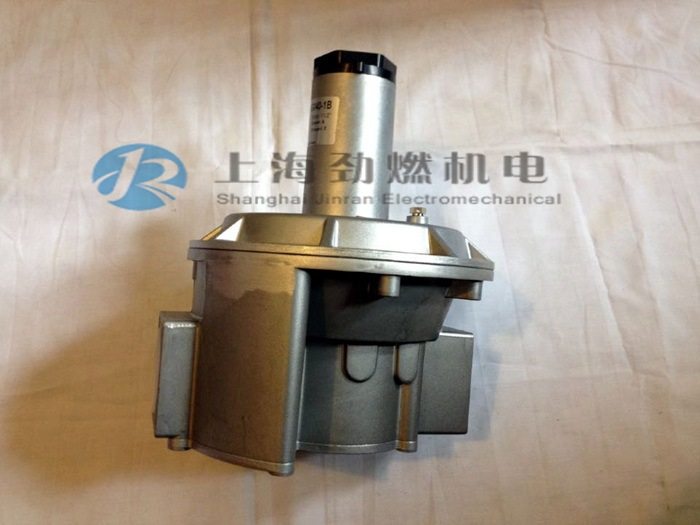 RG032-FT-1B意大利GECA RG040-FT-1B,RGD32-FT-1B,RGD40-FT-1B