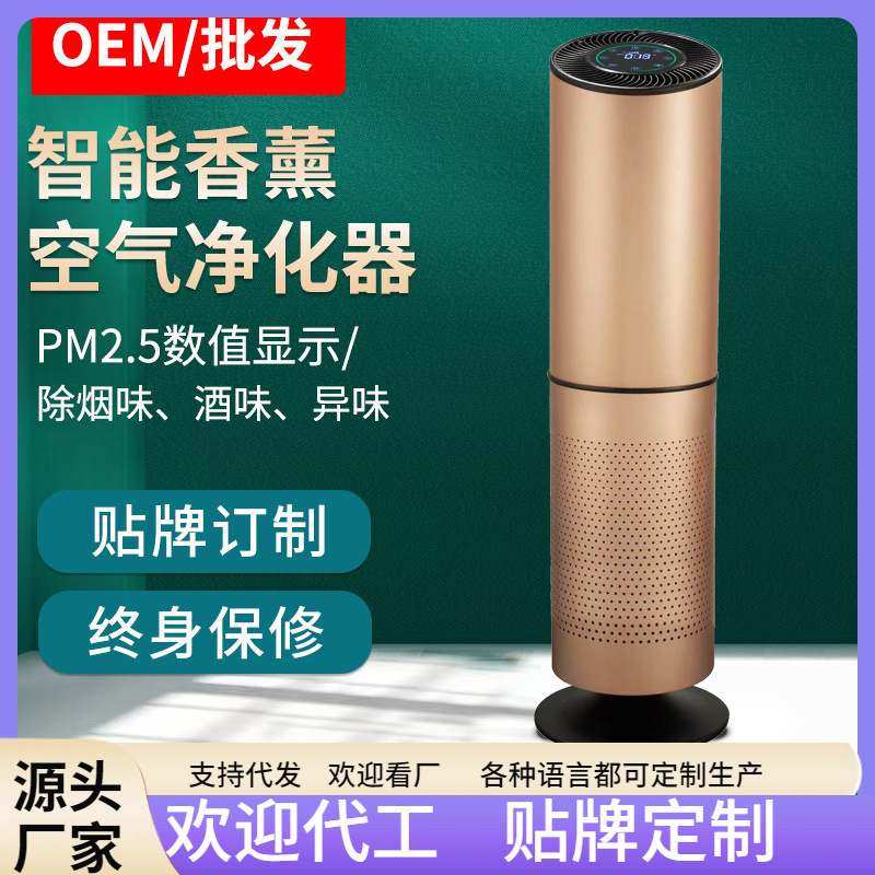 香氛空气净化器 星级酒店娱乐场所KTV香薰净化器商用自动喷香机