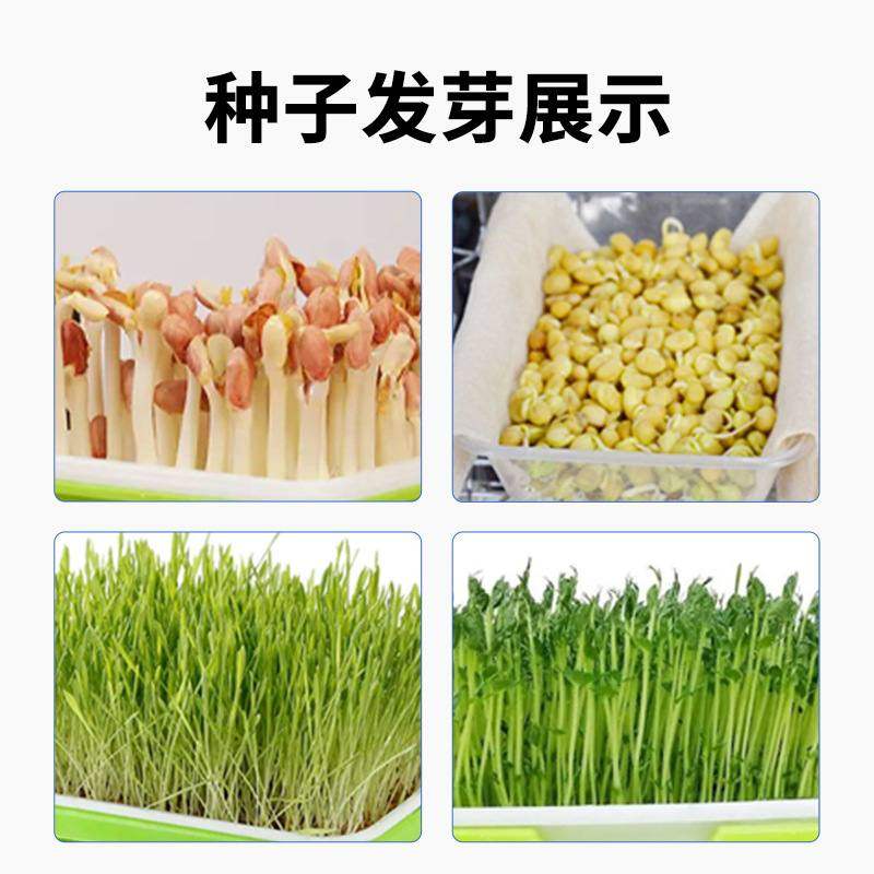 种子发芽箱崔芽箱不锈钢催芽发芽机智能光照培养箱恒温育芽育苗箱,农机/农具/农膜,种子发芽箱/催芽机,淘宝优惠券,粉丝福利购,淘宝优惠卷