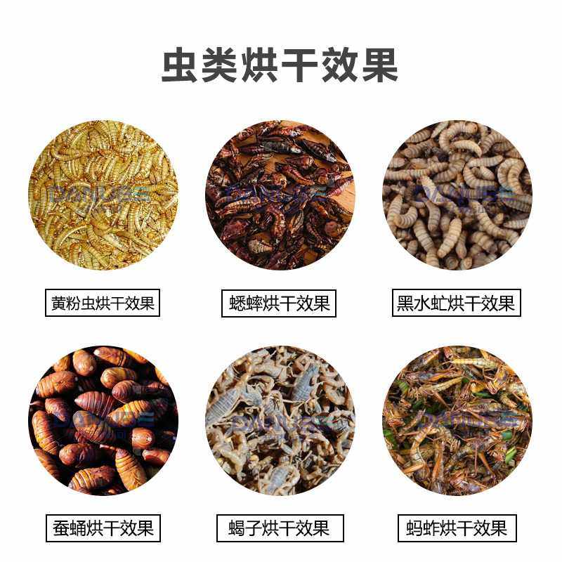 黄粉虫面包虫烘干房 黑水虻大麦虫蚕蛹烘干设备 虫类微波烘干机