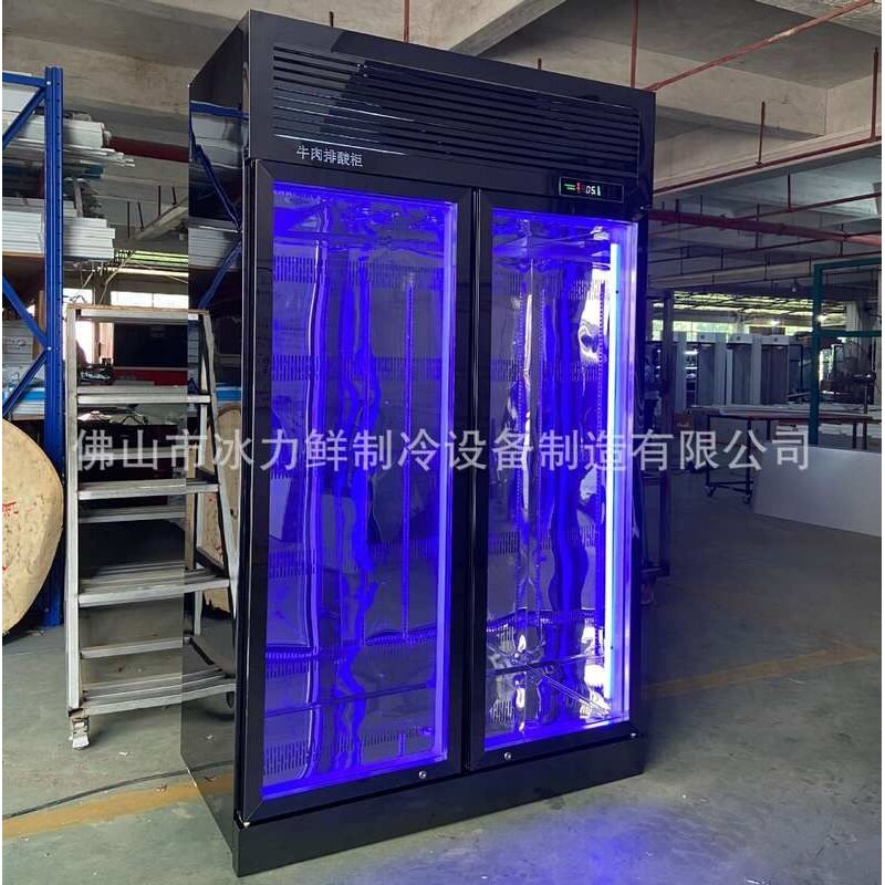 冰力鲜大容量干式熟成商用冰鲜牛肉柜立式牛排挂肉展示冰柜可定制