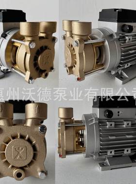 SPECK卧式漩涡离心泵Y-4081.2013电动耐高温热水导热油循环