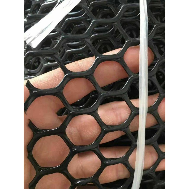 黑色塑料网格养殖网养鸡鸭鹅网阳台防护防坠网隔离网装饰网空调网