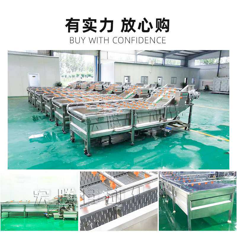 叶菜类清洗流水线蔬菜全自动气泡清洗机叶菜类商用喷淋清洗机果蔬