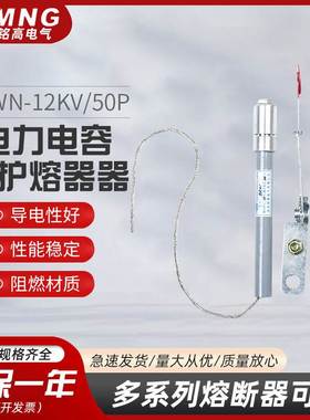 BRWN-12kv/50P电力电容器保护用高压熔断器BRW-7.2/50A/40ABRN