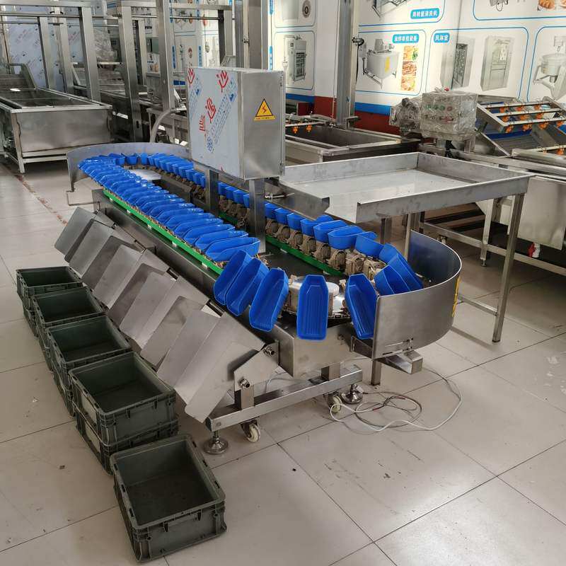 重量分选机 多级别自动称重水果分拣机 连续式鸡鸭鱼分选设备厂家