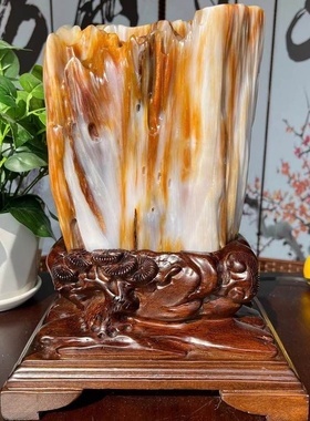 天然缅甸树化玉原石木化石桌面观赏石头摆件客厅装饰品日常送礼