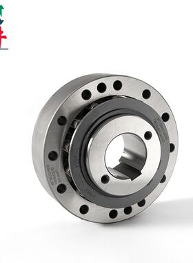 供应集成式FXM101-25单向离合器 南高齿减速机逆止器