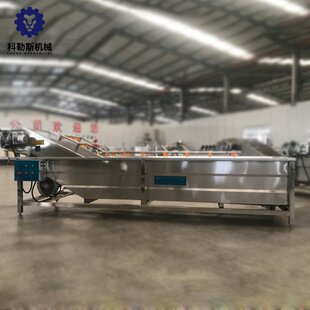 气泡蔬菜清洗机 小火锅蔬菜清洗机 果蔬去农残清洗机 臭氧清洗机