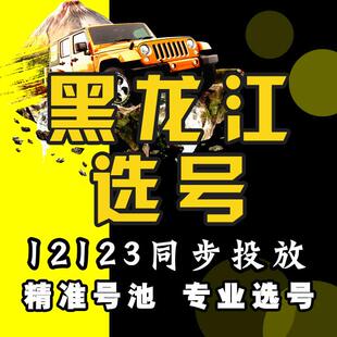 黑龙大庆伊春佳木斯七台河牡丹江黑河车牌选号自选自编查询数据库