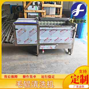 丰尚萝卜毛刷清洗机 土豆去泥去皮毛辊清洗  大型毛辊清洗机设备
