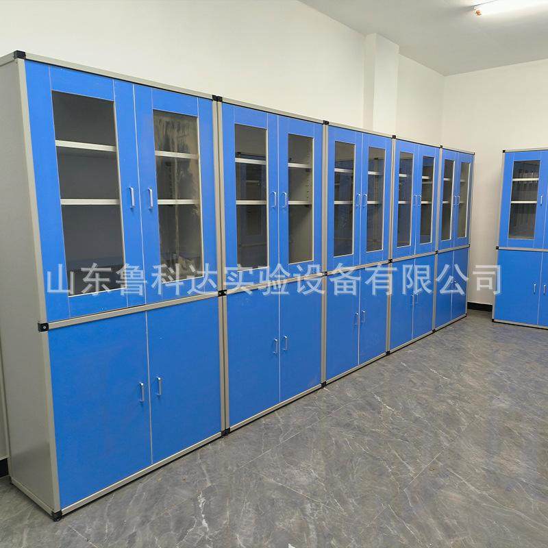 定制学校理化生科学实验准备室PP塑料仪器柜化学药品柜样品器皿柜,商业/办公家具,实验柜,淘宝优惠券,粉丝福利购,淘宝优惠卷