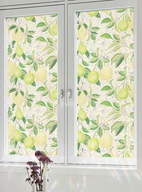 静电YYP玻璃贴纸贴膜彩绘果窥贴防膜饰窗户檬窗透光琉璃贴拧镭射