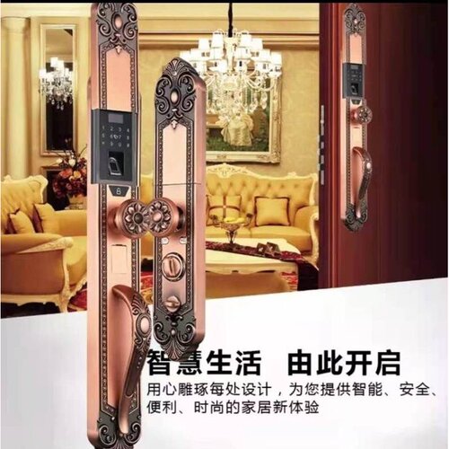 帝门王者一号 欧式别墅全自动智能锁双开铜门防盗门铸铝门指纹锁