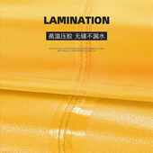 浦朗胜适用九号电动车防雨罩防晒m95c q85c m85c车衣罩9号雨衣