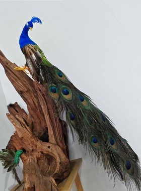 仿真孔雀摆件模型工艺品家居客厅橱窗装饰品婚庆摄影道具不带木桩