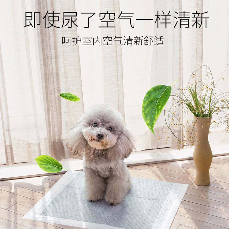 碳分子狗狗尿垫宠物猫用品尿片尿不湿除臭咪加厚尿布卫生吸水加厚,宠物/宠物食品及用品,尿片/尿垫/护垫,淘宝优惠券,粉丝福利购,淘宝优惠卷