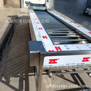 不锈钢苹果分果设备 大型草莓拣选机器 全自动滚杠式 洋葱分选机